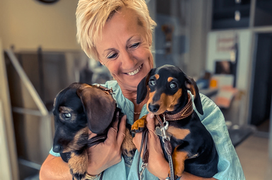 Hondentrimsalon Linden Lubbeek